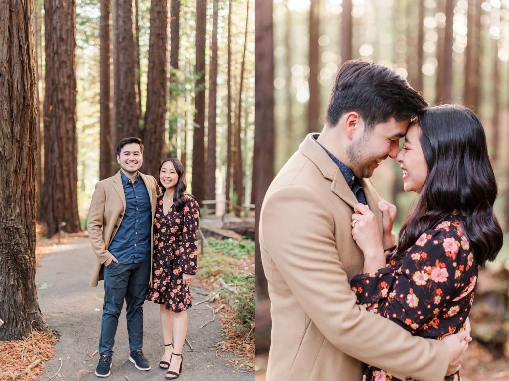 couple photos in the redwoods