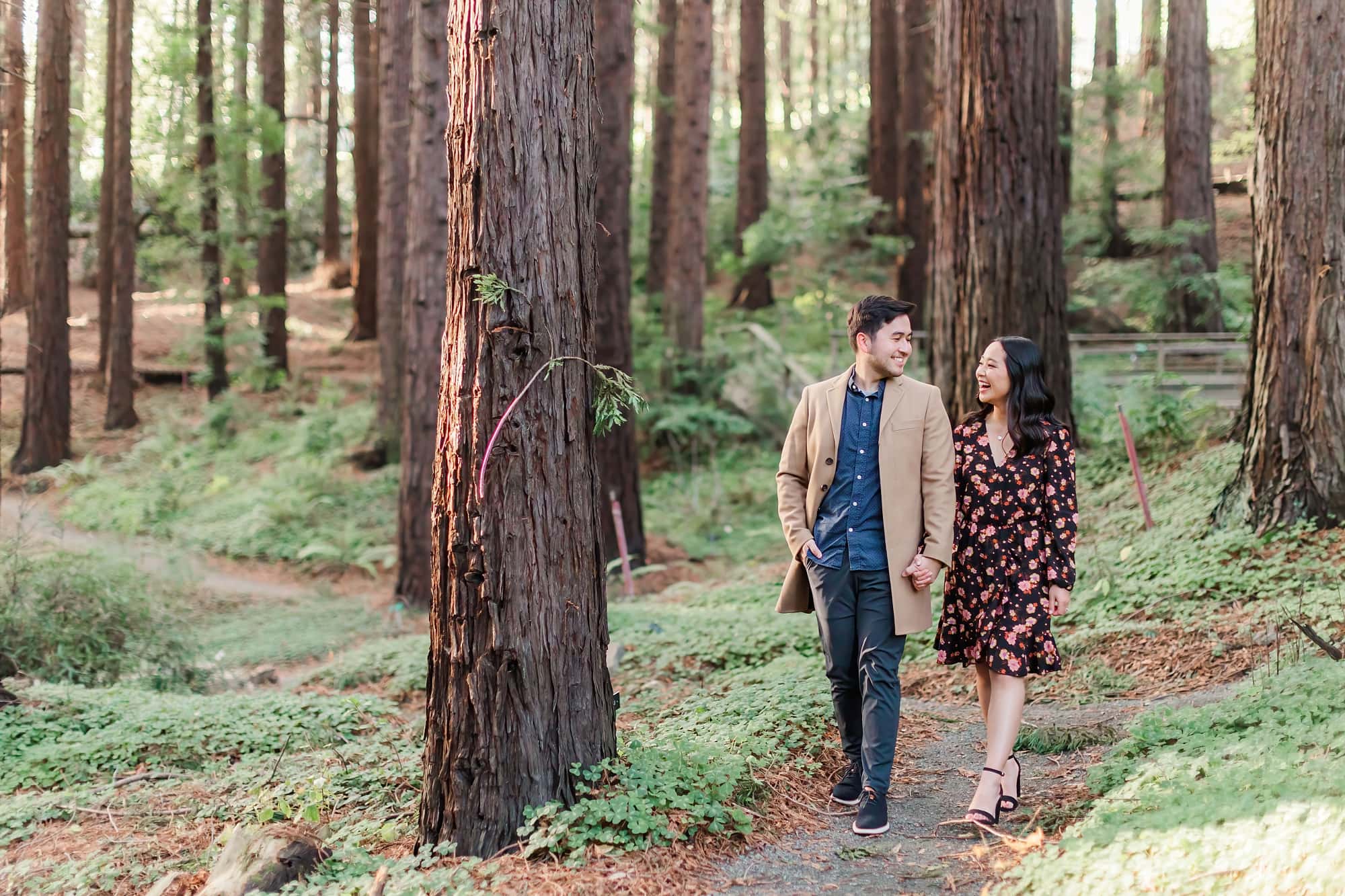 couple walking and holding hands in the redwoods