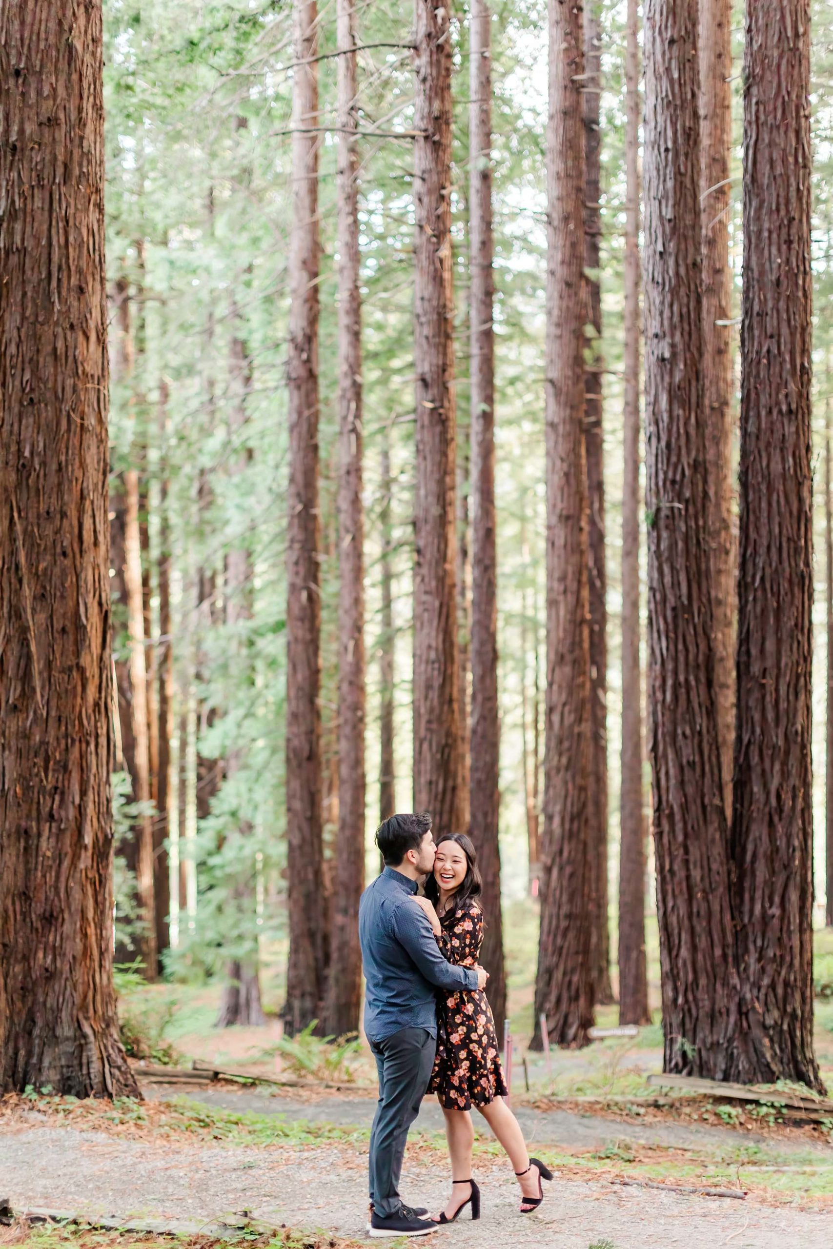 california redwoods engagement photos
