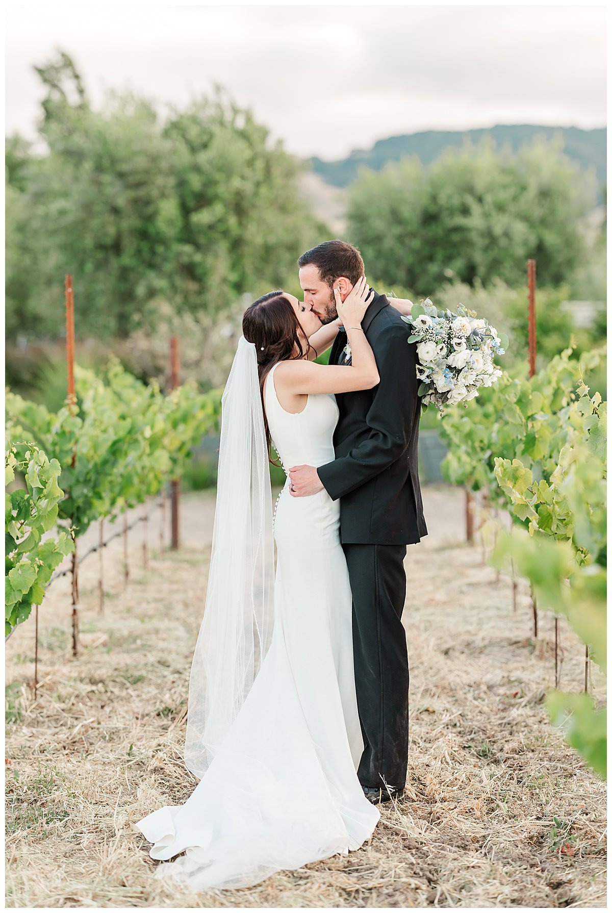 kissing in the vineyards at the barn at harrow cellars