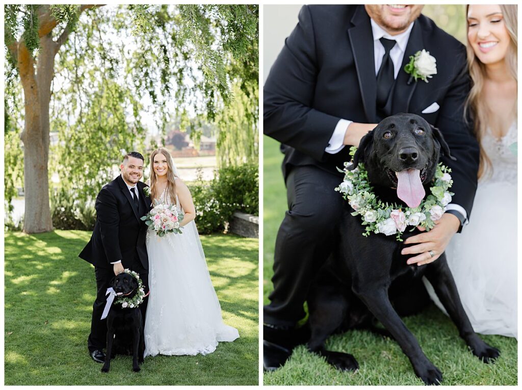 bride and groom with dog photos