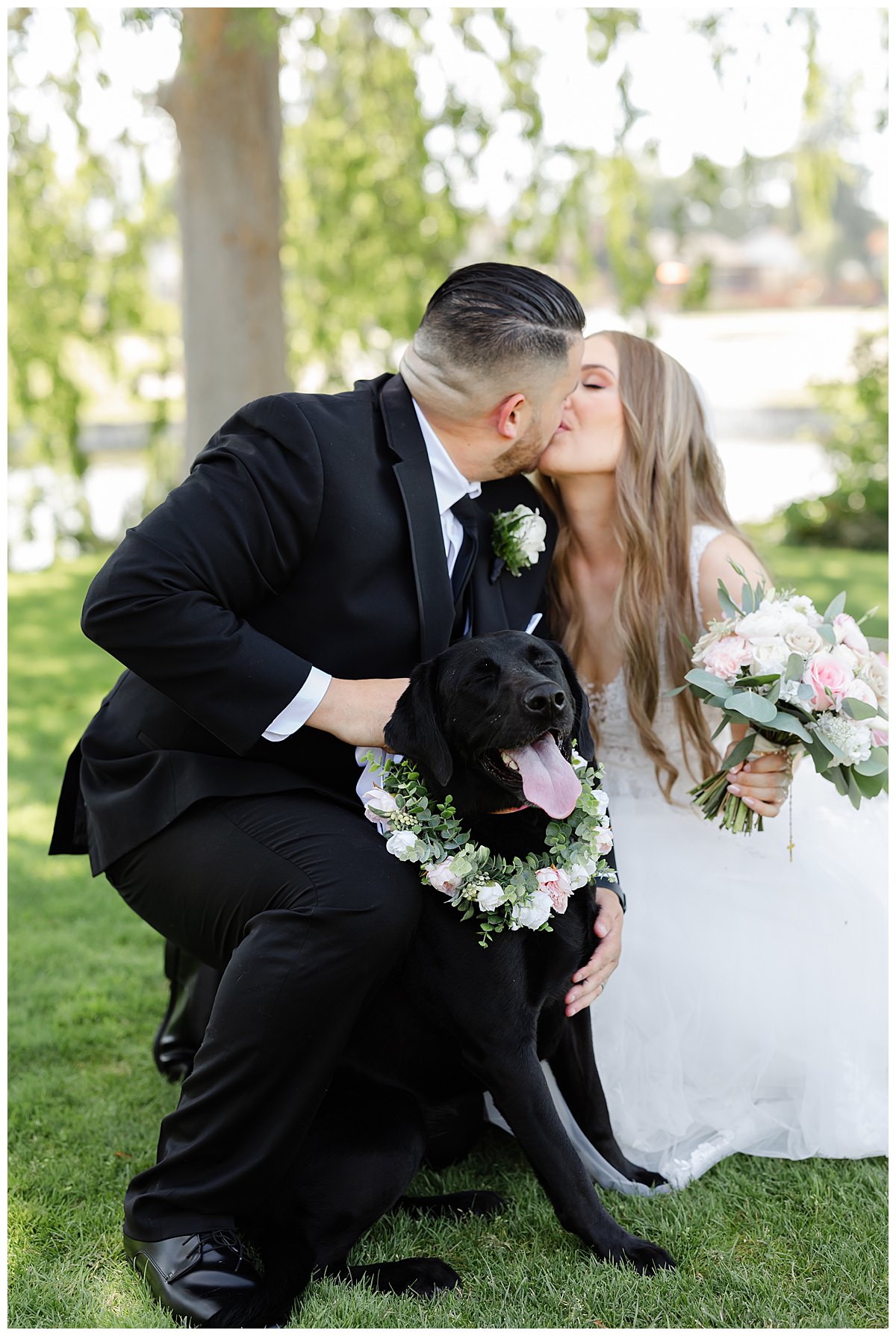 bride and groom dog photos