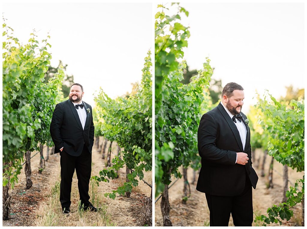 groom portraits in the vineyard